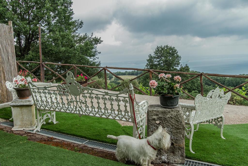 Agriturismo Specchio Del Lago Montefiascone Exterior foto