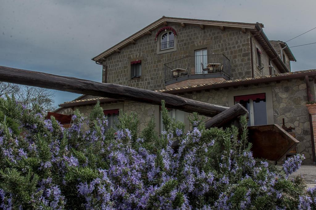 Agriturismo Specchio Del Lago Montefiascone Exterior foto